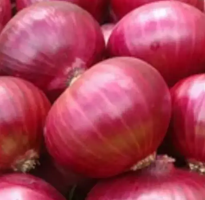 Red Creole#2.webp