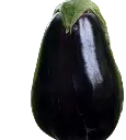 Black Beauty.webp