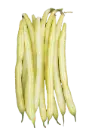 Dwarf bean Goldrush (wax)