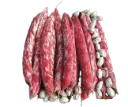 Borlotto bean | ASPV.0638