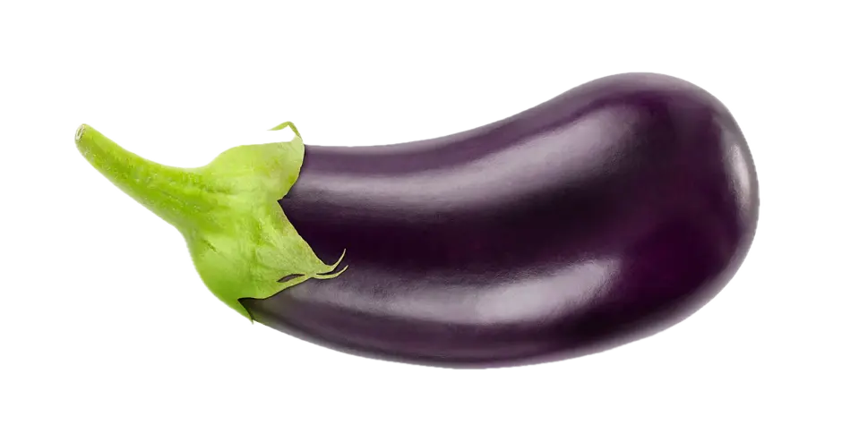 Eggplant BLACK BEAUTY